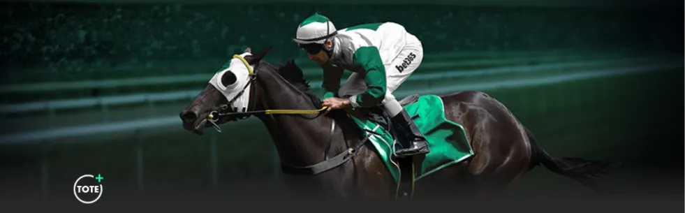 大乐透期号,专家推荐,质合分析前,足彩狗,足球赛事资讯,足球比赛数据,足球赛事平台,足球资讯